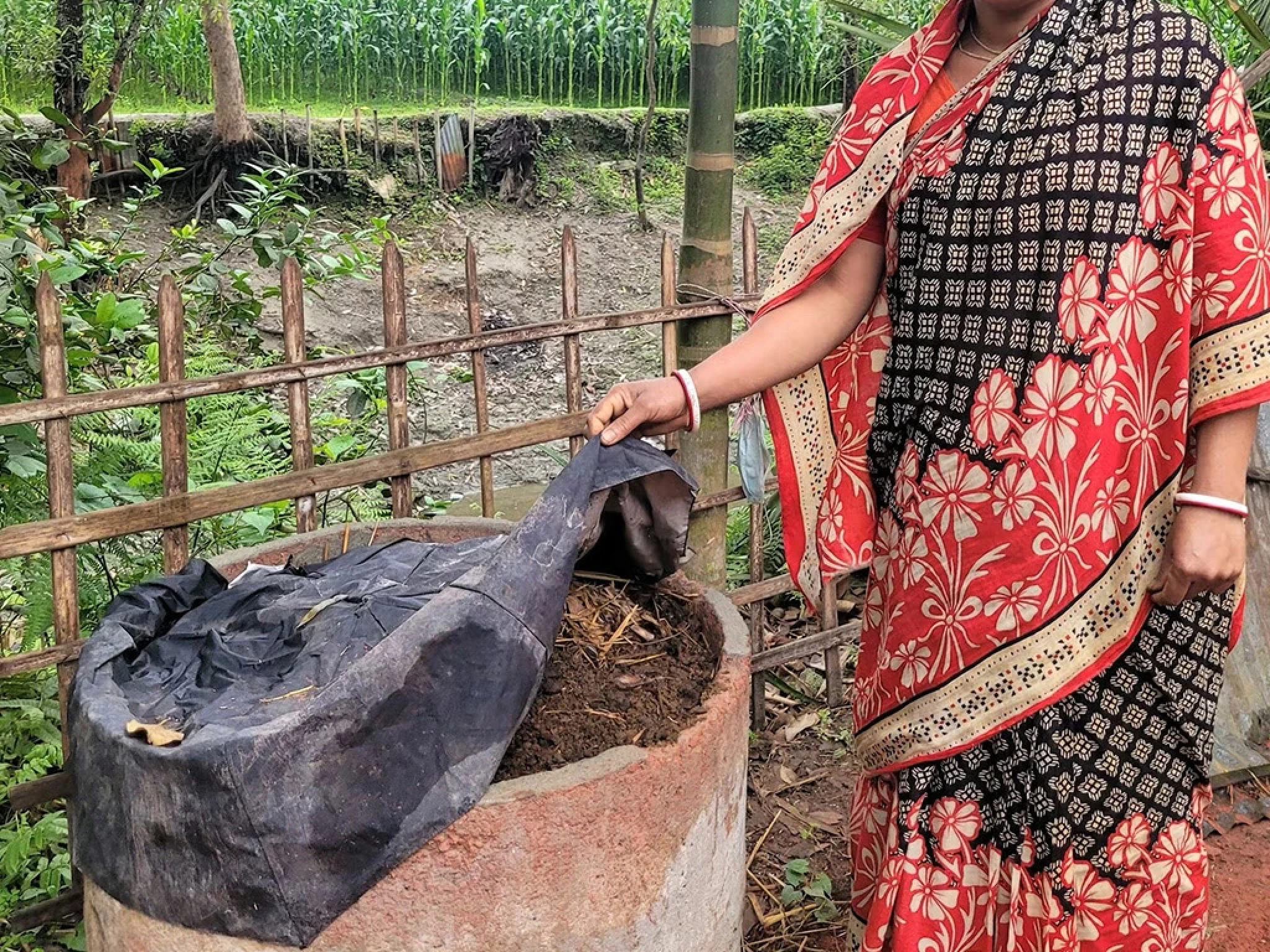 Vermicompost field activity